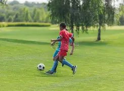 郑钦文迪拜,赛首秀,今晚央视新,开云全站官网,开云全站,开云体育,开云代理,开云入口