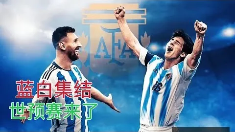 开云全站 084032